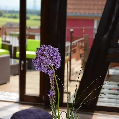 Treiber In - Naehe Kit Campus Nord Und Karlsruhe דירה אגנשטיין-לאופולדשאפן